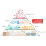 قالب فروشگاهی ایرانی بقال