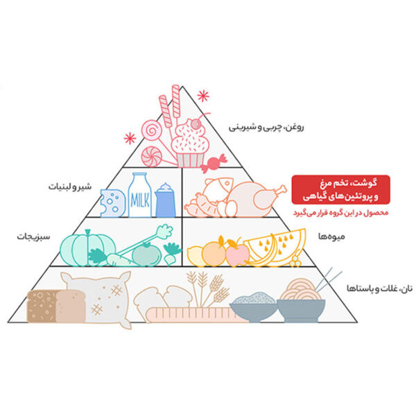 قالب فروشگاهی ایرانی بقال